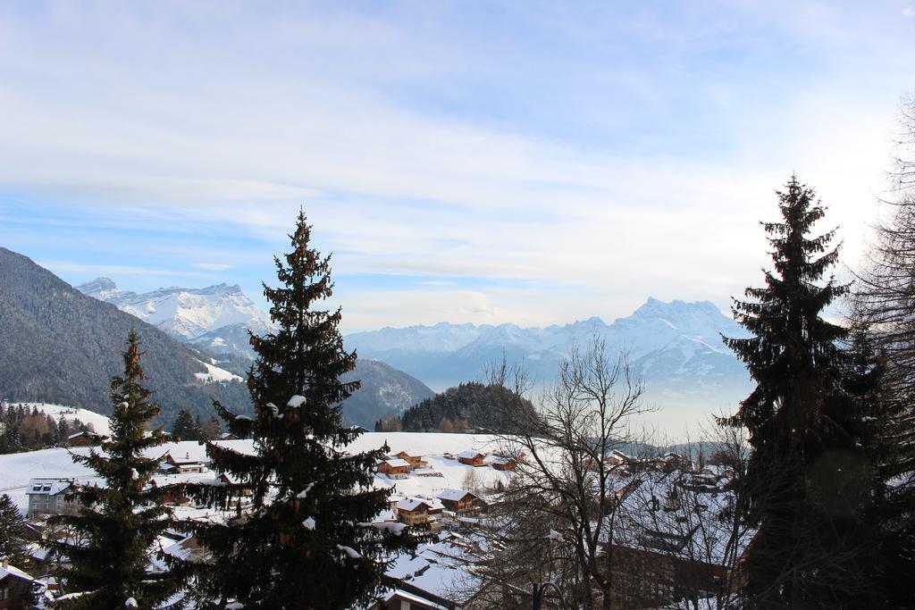 Les Frênes Leysin Exterior foto