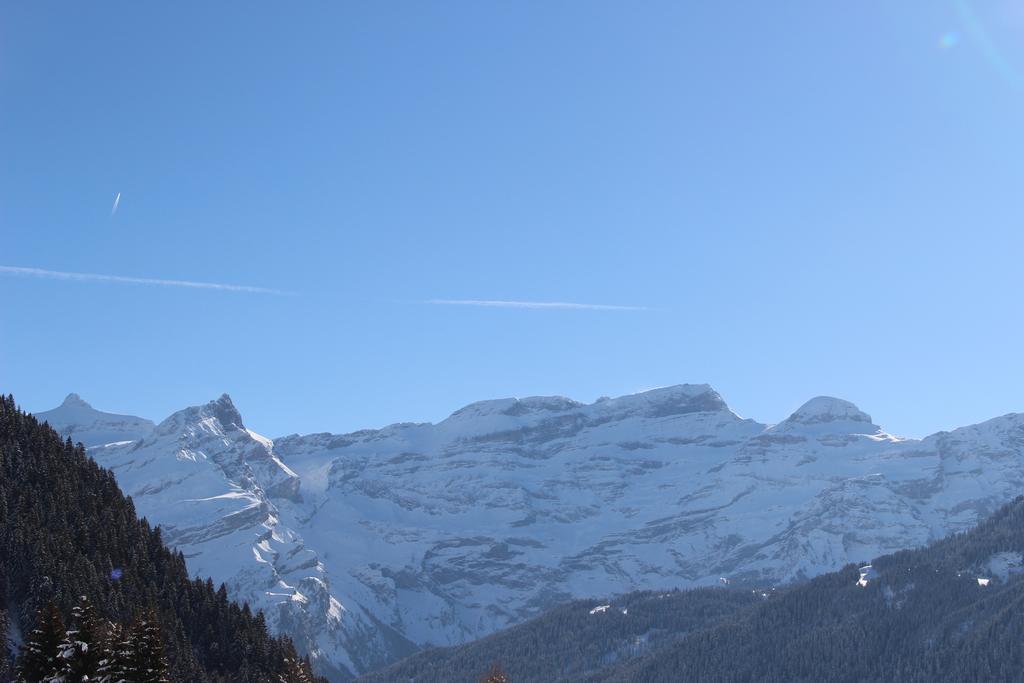 Les Frênes Leysin Exterior foto