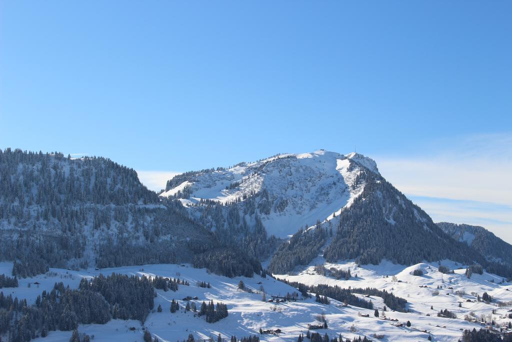 Les Frênes Leysin Exterior foto
